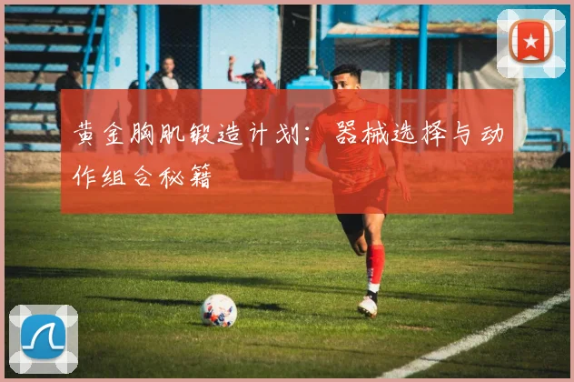 黄金胸肌锻造计划：器械选择与动作组合秘籍