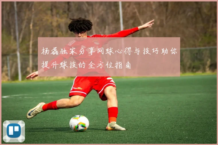 杨磊独家分享网球心得与技巧助你提升球技的全方位指南